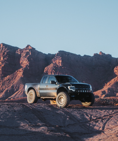 FORD F-150 GEN 11 (2009-2014)