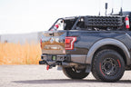 2017-2020 Ford F-150 Raptor Tube Rear Bumper