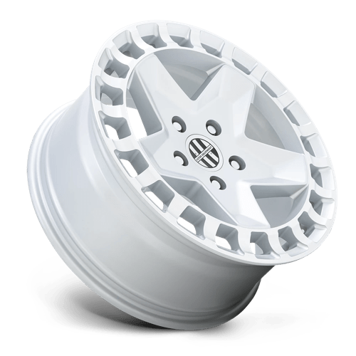 Victor Equipment Alpen 17X8 +10 Gloss White