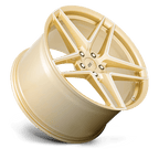 Cray Panthera 21X12 +52 Gloss Gold W/ Mirror Face
