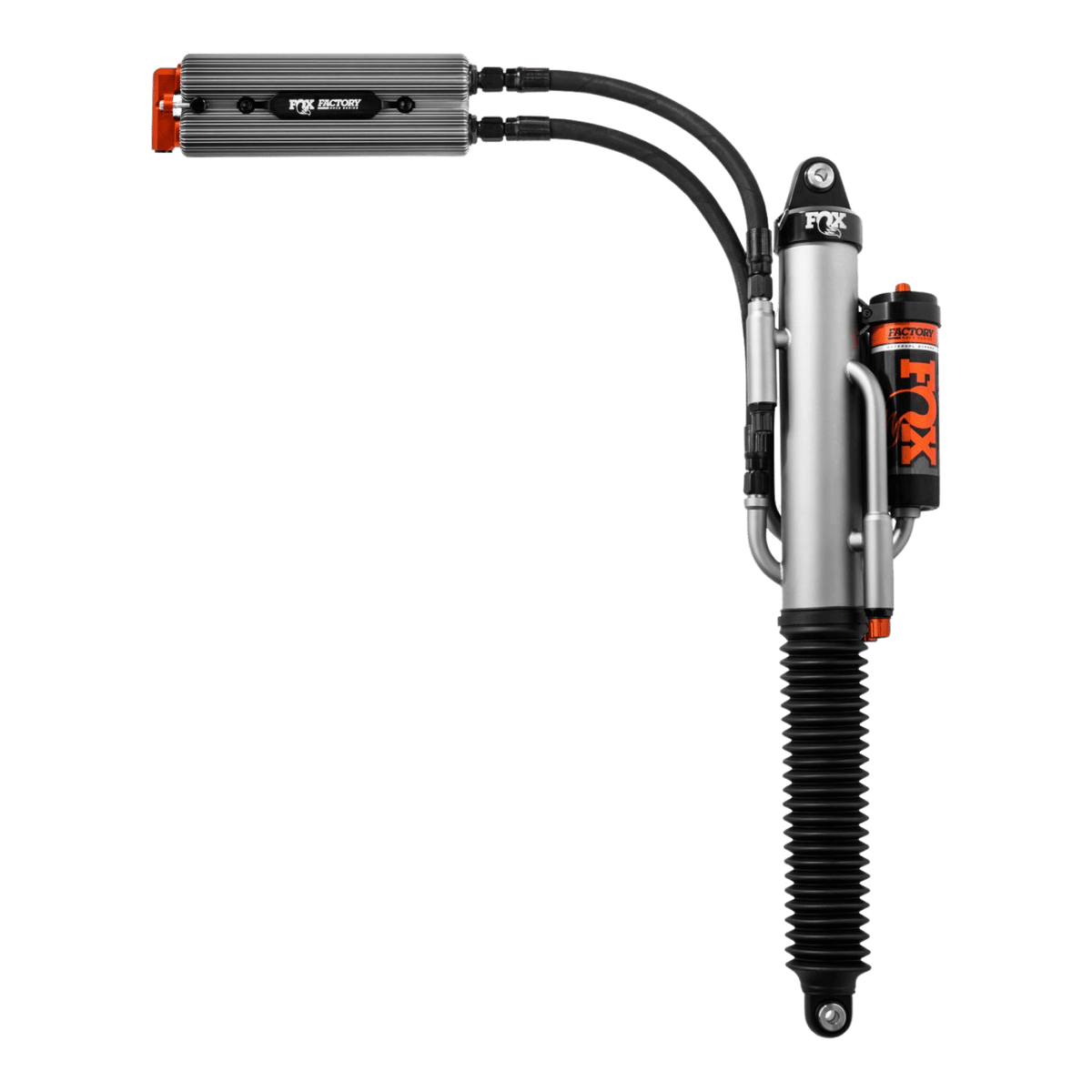 3.0 Fr Ebp Qab Pr R Raptor 17+ 0-1"