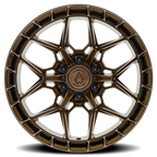 Arena Rampage 20X9 +0 Smoked Bronze Tint Clear