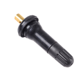 Tpms Snap-In Valve Gm (Ea)