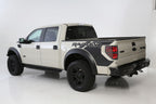 2009 - 2014 Ford F-150/Raptor Venom Rear Bumper