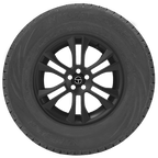 Milestar Ms70 All-Season 175/70R13