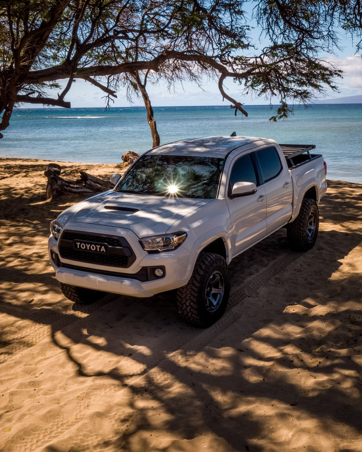 Fuel Off-Road D768 Rush Matte Bronze on a Toyota Tacoma